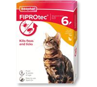 Beaphar FIPROtec Spot-On for Cats - Vet Strength Flea & Tick Treatment, Easy Apply, 6 Pipettes (Cats & Kittens 8 Weeks+, >1kg)
