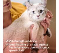 Beaphar - Flea Tablets for Cats & Kittens - 6 Treatment Pack - Rapid Knock Down of Fleas - Starts Killing Fleas in 15 Minutes, Kills 100% in 24hrs -