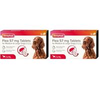 Beaphar - Flea Tablets for Medium/Large Dogs (>11kg) - 3 Treatment Pack - Rapid Knock Down of Fleas - Starts Killing Fleas In 15 Minutes, Kills 100% in 24hrs - Veterinary Medicine For Dogs > 4 Weeks