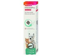 Beaphar IntestoPro Paste for Cats and Dogs - 20ml
