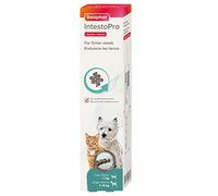Beaphar - IntestoPro Prebiotic Stool Firming Paste for Cats and Small Dogs (<15kg) - Natural Active Ingredients - Aids digestive upsets and diarrhoea - Supports Healthy Gut Function - 1 syringe