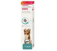 Beaphar - IntestoPro Prebiotic Stool Firming Paste for Medium and Large Dogs (>15kg)- Natural Active Ingredients - Aids digestive upsets and diarrhoea - Supports Healthy Gut Function - 2 syringes
