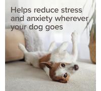 Beaphar - StressLess Herbal Calming Collar for Dogs - Reduces Stress & Anxiety at Home and On-the-Go - With Valerian & Lavender - 6 Weeks Lo