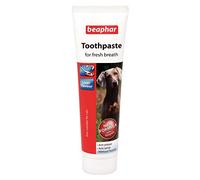 Beaphar Toothpaste for All Sizes of Dogs & Cats, Liver Flavour Anti-Plaque