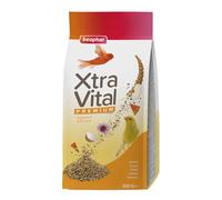 Beaphar | XtraVital Canary Bird Food | Complete Food with Apple, Papaya, Echinacea, & Egg Food | Rich in Vitamins & Minerals for Optimum Health | 500g