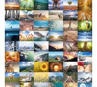 Bear and Bee 64 Postcards - Nature, Animals & Landscape Joys Large Mix of Postcrossing Postcards