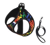 Bear Dancing Tie Dye Print Dog Harness and Leash Set,Breathable Adjustable Escape Proof Vest for Cats Dogs