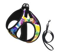 Bear Dancing Tie Dye Print Dog Harness Leash Set Reflective Pet Harness Puppy Vest Suitable Dogs Cats Small Breeds