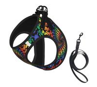 Bear Dancing Tie Dye Print Dog Harness Small Sized And Leash Set, Step In Soft Light Puppy Vest Breathable Mesh Pet Harness