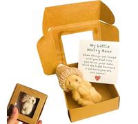 Bear Hug in a Box, Pocket Bear Handmade Mini Plush Little Bears with Inspirational Card, Emotional Support Bears Toys for Lovers and Friends Graduation, Motivational Present