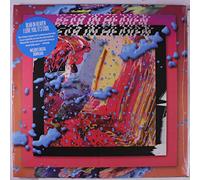 Bear in Heaven - I Love You, It's Cool [VINYL]