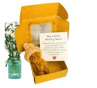 Bear Mini - Stuffed Animal Toy, Handmade Inspirational Card Gift, Pocket Plush in Box with Message | Kids Party Surprise for Valentine's Day Mother's Day Graduation Christmas Birthday Present Keepsake