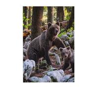 Bear Prints Wooden Jigsaw Puzzle 300-Piece in Plastic Box, 26x38 CM Eco-Friendly Educational Puzzle for Family Fun & Adult Relaxation