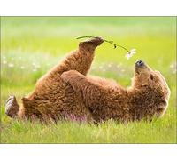 Bear Smells Flower Funny Valentine's Day Card by Avanti Press