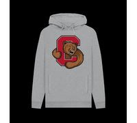 Bear Unisex Hoodie Marl Colour: Light Heather Cornell University Light Grey 2XL