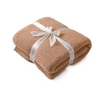 bearberry Super Soft Fluffy Throw Blanket Lightweight Cozy Warm Throw Blankets for Couch Bed Sofa All Season (Camel, 50”x60”)