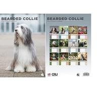 Bearded Collie 2026 Calendar - A3 Size 30 x 42 cm, 12 Months of Great Photography