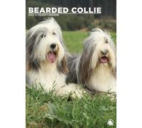 Bearded Collie Calendar 2025