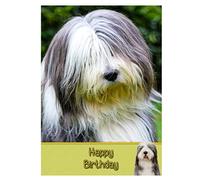 Bearded Collie Dog Birthday Card