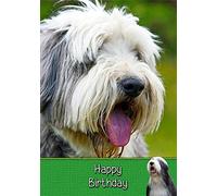 Bearded Collie Dog Birthday Card