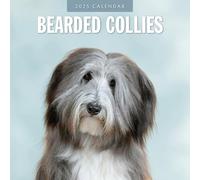 Bearded Collies - 2025 Square Wall Calendar - by Red Robin Publishing
