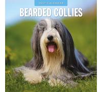 Bearded Collies - 2027 Square Wall Calendar - by Red Robin Publishing