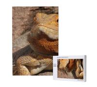 Bearded Dragon,1000 Pieces Wooden Jigsaw Family Game Jigsaw Puzzles for Adults Teens
