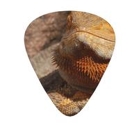 Bearded Dragon,12 Pcs Guitar Pick,3 Different Thickness Plectrums for Acoustic Guitar Bass Ukulele (0.46mm 0.96mm 0.71mm)