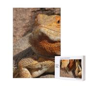 Bearded Dragon,300 Pieces Wooden Jigsaw Family Game Jigsaw Puzzles for Adults Teens