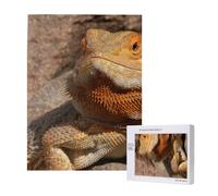 Bearded Dragon,500 Pieces Wooden Jigsaw Family Game Jigsaw Puzzles for Adults Teens