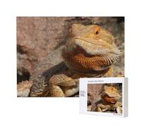 Bearded Dragon,500 Pieces Wooden Jigsaw Family Game Jigsaw Puzzles for Adults Teens Home Decor