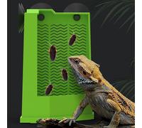 Bearded Dragon Feeder - Corner Reptile Feeder Box with Suction Cups for Lizard, Iguana, Gecko, Bearded Dragon