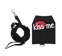 Bearded Dragon Harness,Canvas Breathable Luminous Small Pets Supplies - Reptile Lizard Leashes - Multipurpose for Walking Camping Outdoor Night Travel Daily Car Airplane Outing Shopping Taxi Public