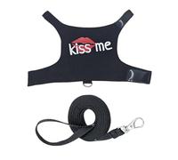 Bearded Dragon Leashes And Harness Set | Breathable Luminous Canvas Adjustable Clothing Supplies - Bearded Dragon Clothes,for Outdoor Travel Transportation Daily Outing Shopping Taxi Public Urban