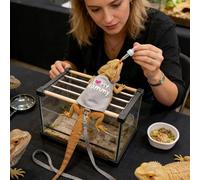 Bearded Dragon Leashes And Harness Set | Breathable Luminous Canvas Adjustable Pet Supplies,Lizard Reptiles Harness | for Camping Outdoor Night Travel Transportation Daily Shopping Taxi Public Urban