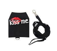 Bearded Dragon Leashes,Canvas Breathable Luminous Small Pets Supplies - Bearded Dragon Clothes | for Walking Camping Night Travel Outing Shopping Taxi Public Urban