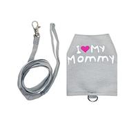 Bearded Dragon Leashes Luminous Canvas Breathable Adjustable Pet Supplies