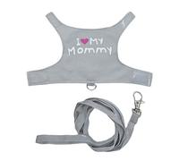 Bearded Dragon Leashes | Luminous Canvas Breathable Adjustable Pet Supplies,Bearded Dragon Outfits,for Camping Outdoor Night Travel Transportation Daily Shopping Taxi Public Urban