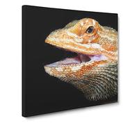 Bearded Dragon Lizard Canvas Print | Gallery Wrapped 30mm Frame Wall Art | 20x20 inches | Ready to Hang | Modern Animals Picture | Living Room Bedroom Lounge Office