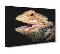 Bearded Dragon Lizard Canvas Print | Gallery Wrapped 30mm Frame Wall Art | 24x16 inches | Ready to Hang | Modern Animals Picture | Living Room Bedroom Lounge Office
