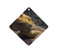 Bearded Dragon Lizard Car Air Freshener Aromatherapy Tablet Hanging Decor for Rearview Mirror Dorm