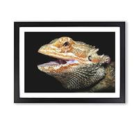 Bearded Dragon Lizard Painting Framed Print | A2 Black Framed Wall Art | Ready to Hang | Modern Historical Picture | Living Room Bedroom Lounge Office