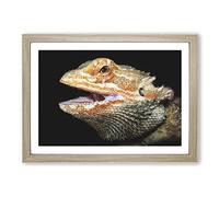Bearded Dragon Lizard Painting Framed Print | A2 Oak Framed Wall Art | Ready to Hang | Modern Historical Picture | Living Room Bedroom Lounge Office