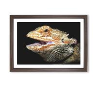 Bearded Dragon Lizard Painting Framed Print | A2 Walnut Framed Wall Art | Ready to Hang | Modern Historical Picture | Living Room Bedroom Lounge Office