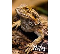 Bearded Dragon Notebook: unique bearded dragons gift for animal and reptile lovers (blank lined journal) great for writing notes and ideas for home ... book (120 pages) pet lizard notepad