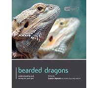 Bearded Dragon - Pet Expert