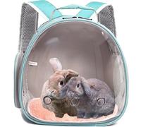 Bearded Dragon Travel Carrier, Space Capsule Clear Bubble Window Small Animal Travel Backpack for Hedgehog Rat Parrot Bird Bearded Dragon, Snake,Airline Approved (Green, Backpack)