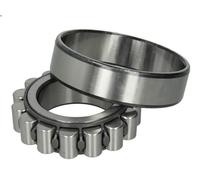 Bearing, differential shaft DT SPARE PARTS 1.16670
