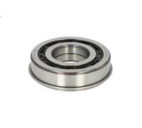 BEARING, MANUAL TRANSMISSION 722071110 FITS FOR SCHAEFFLER INA