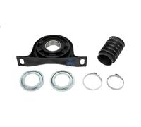Bearing, propshaft centre bearing DT SPARE PARTS 4.81189 for TGA 11.967 2002-